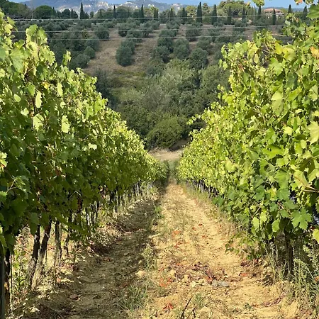 Castellare Di Tonda 4* Montaione