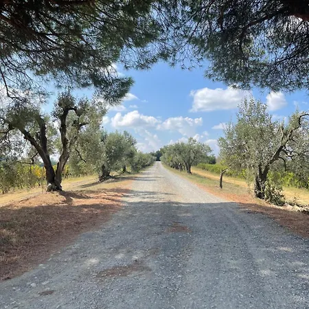 Castellare Di Tonda 4* Монтайоне