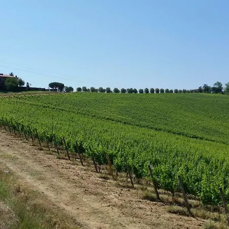 База отдыха Castellare Di Tonda